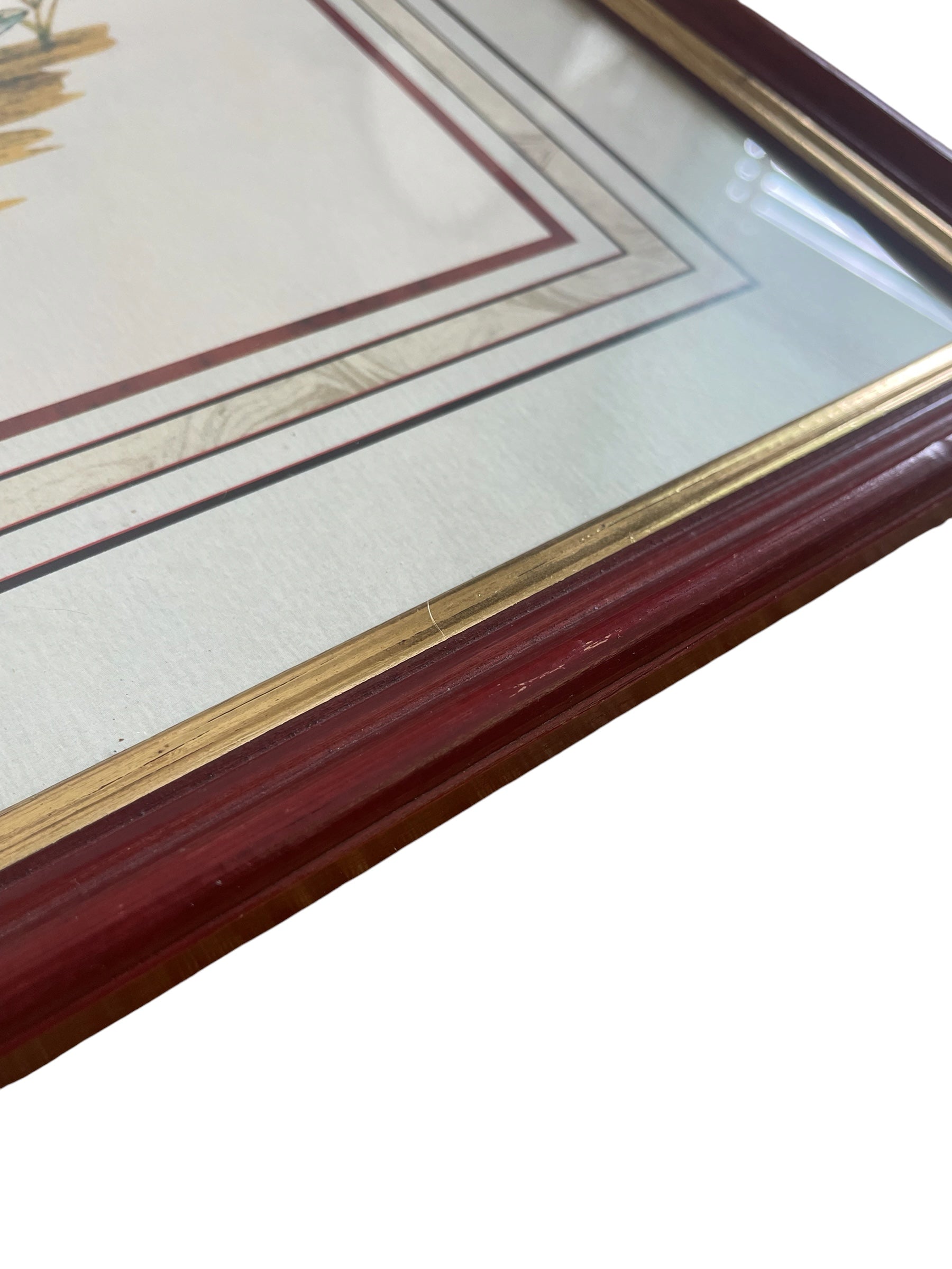 Vintage Mallard Duck Print in Red & Gold Painted Wood Frame