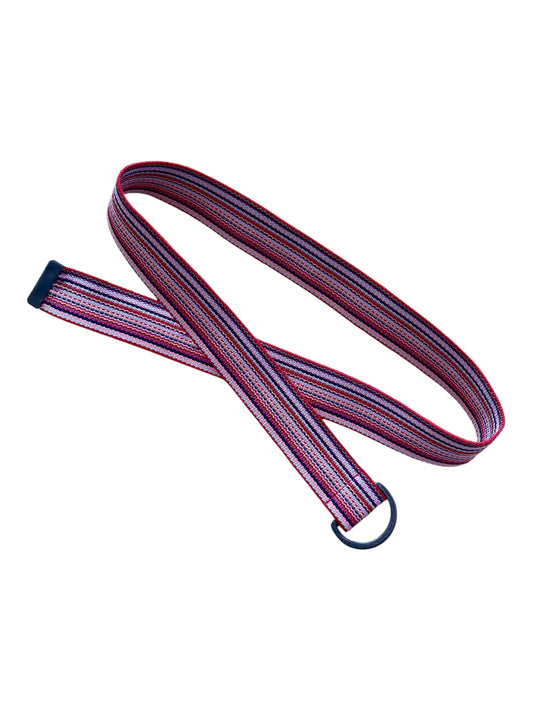 Multicolour striped military style belt