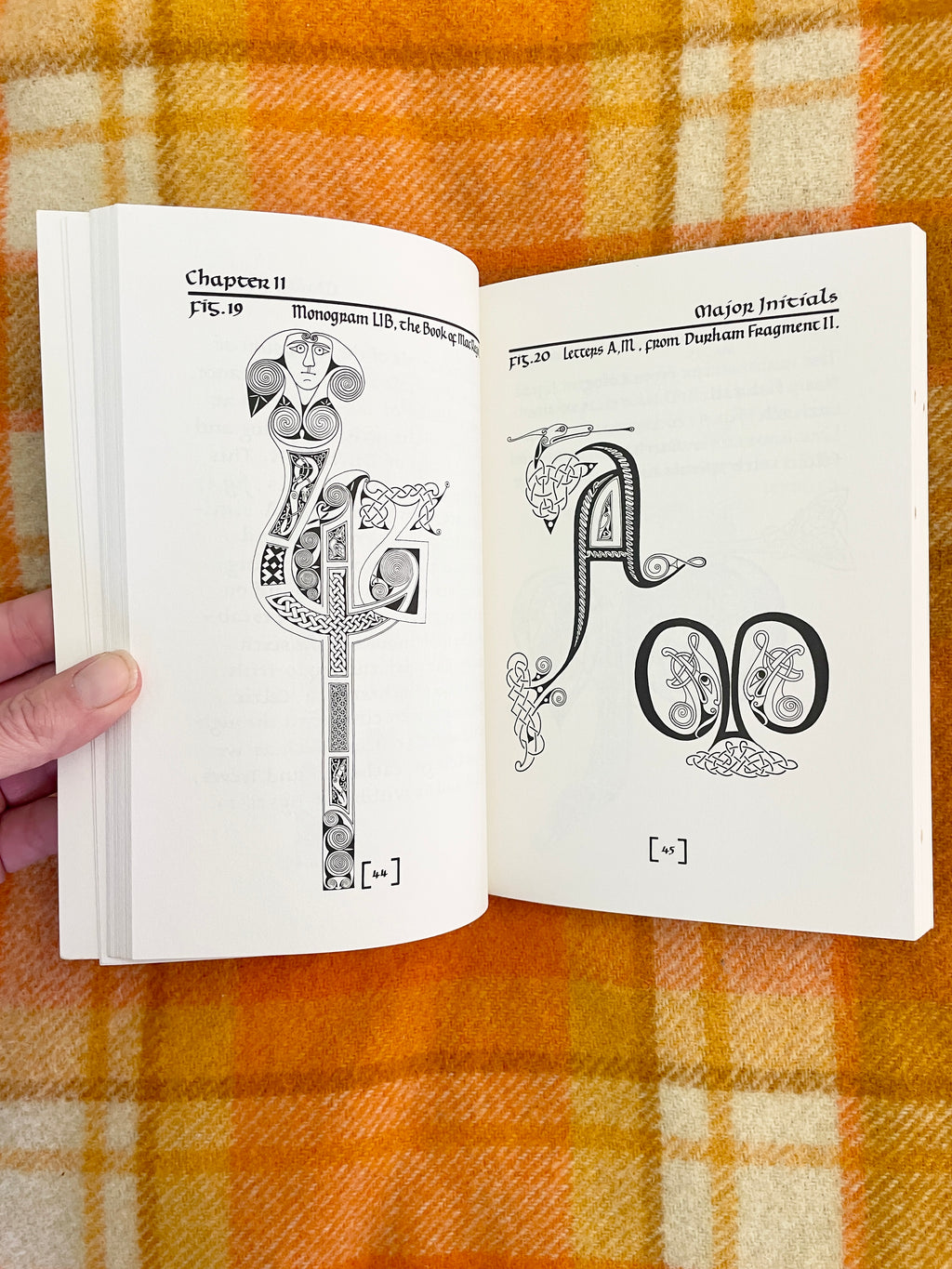 Vintage 1994 Celtic Design: Illuminated Letters Paperback by Aidan Meehan
