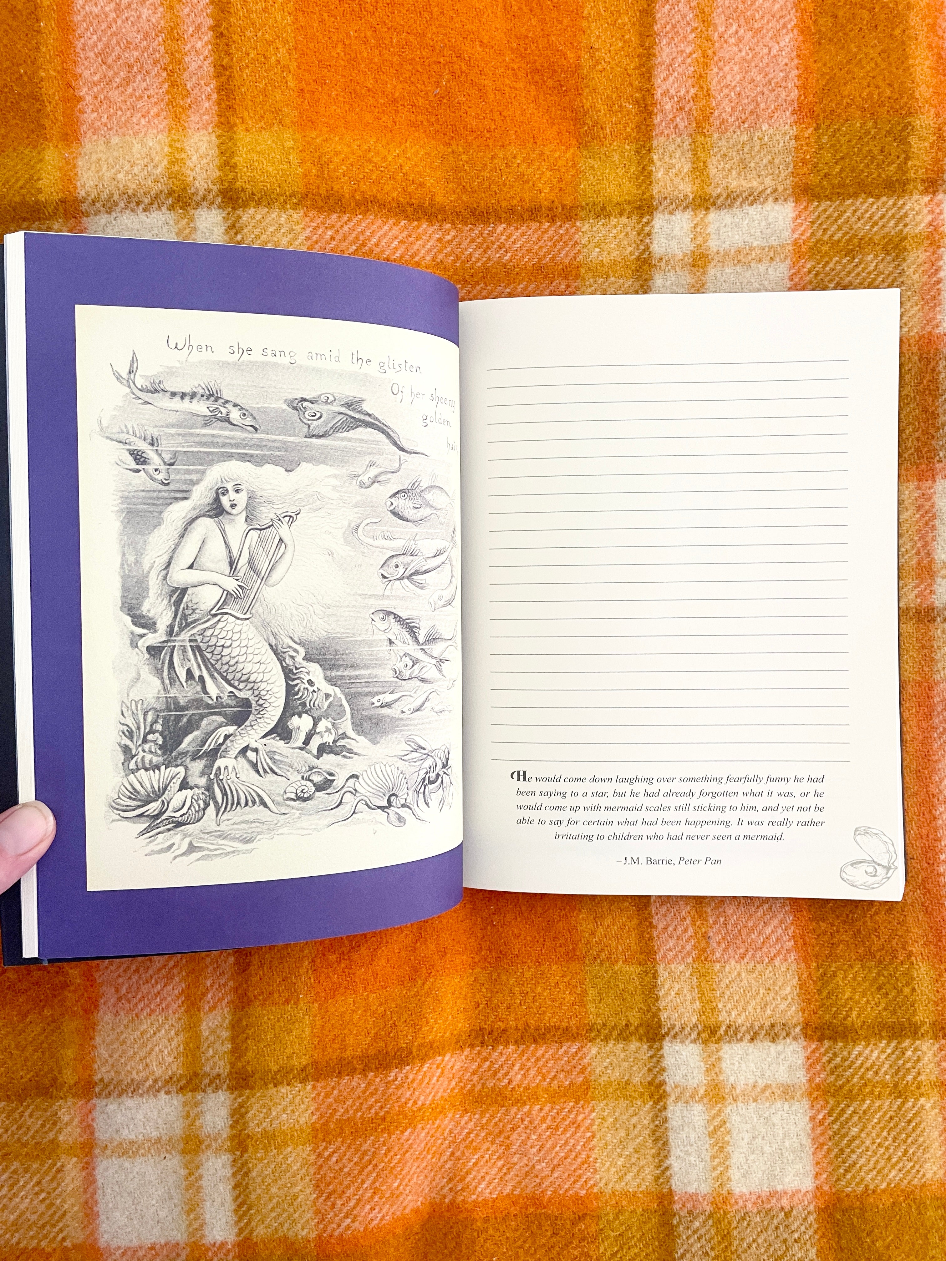 The Mermaids Mirror Journal by Lucy Cavendish Paperback