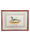 Vintage Mallard Duck Print in Red & Gold Painted Wood Frame