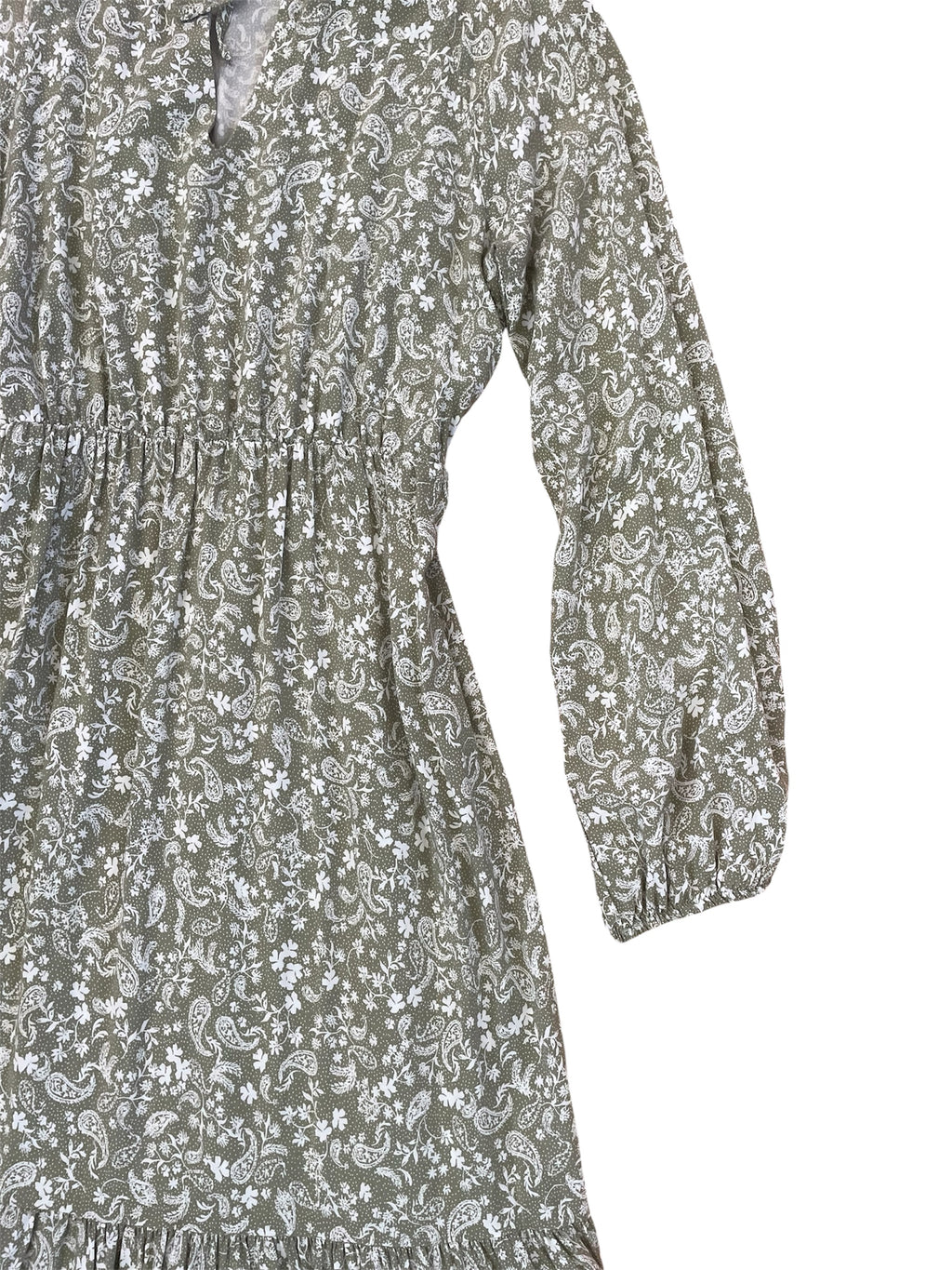 Long Sleeve Sage Paisley Print Dress