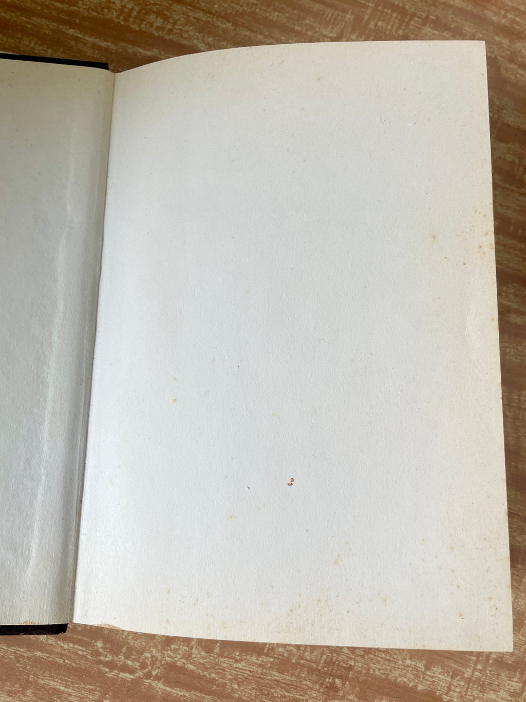 Vintage 1972 Indian Art Hardcover Book Fransesco Abbate