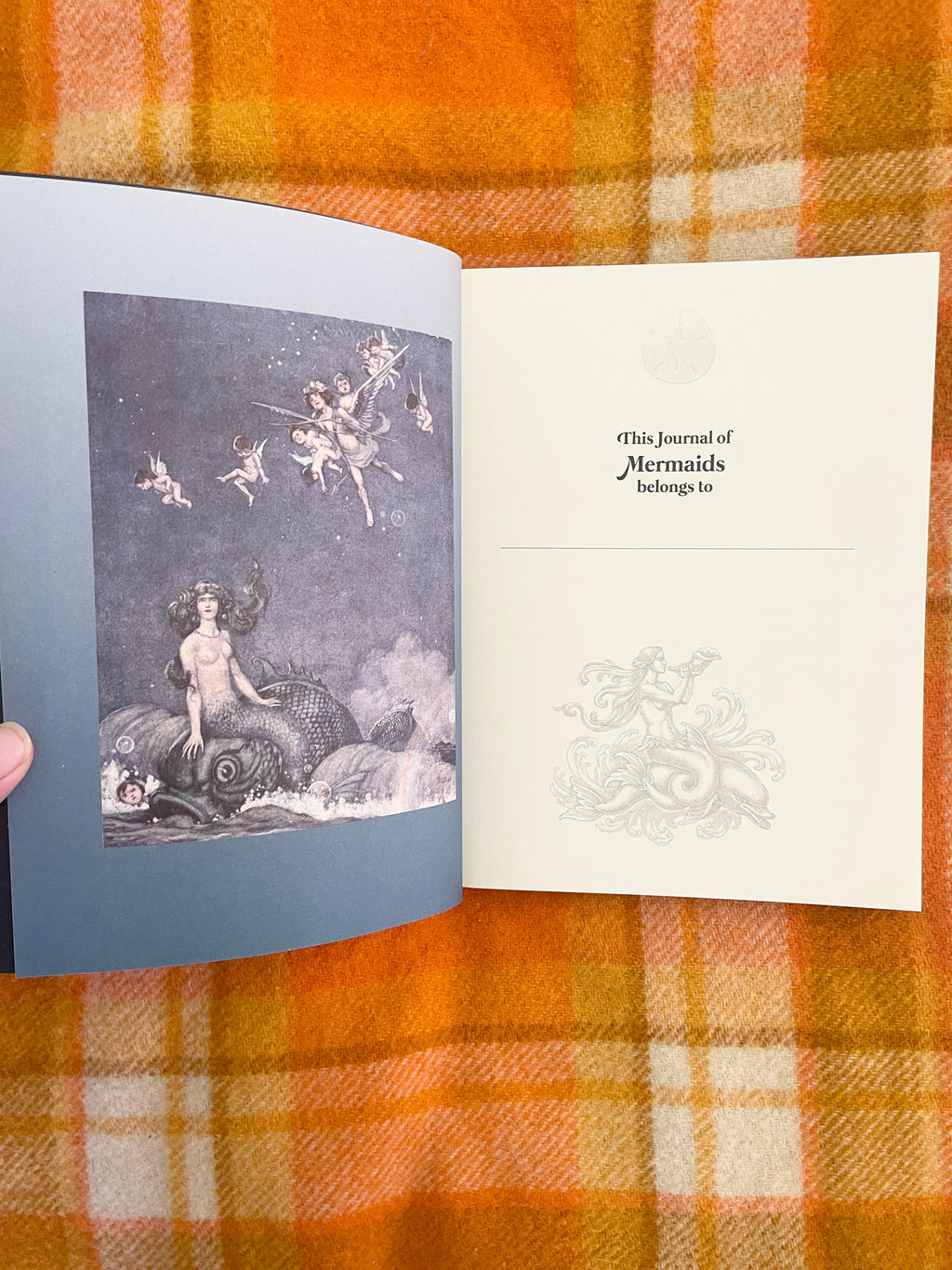 The Mermaids Mirror Journal by Lucy Cavendish Paperback